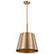 Nuvo Lighting - 60-7938 - One Light Pendant - Alexis - Burnished Brass / Gold