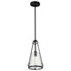 Nuvo Lighting - 60-8255 - One Light Pendant - Valentine - Black