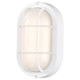 LED Bulk Head Fixture (62-1388)