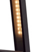 Raven LED Outdoor Wall Sconce (62-1426)