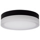 Nuvo Lighting - 62-569 - LED Flush Mount - Pi - Matte Black