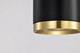 Century LED Pendant (62-818)