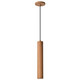 Century LED Pendant (62-820)