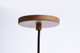 Century LED Pendant (62-820)