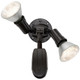 Two Light Floodlight (SF76-503)