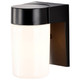One Light Wall Lantern (SF77-137)