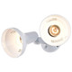 Two Light Floodlight (SF77-488)