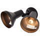 Two Light Floodlight (SF77-495)