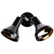 Two Light Floodlight (SF77-701)
