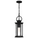 Tilmore One Light Mini Pendant (TLM1507MBK)