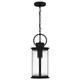 Tilmore One Light Mini Pendant (TLM1507MBK)