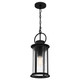 Tilmore One Light Mini Pendant (TLM1507MBK)