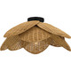 Willa One Light Semi-Flush Mount (WLL1722MBK) Willa One Light Semi-Flush Mount (WLL1722MBK)