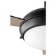 Expo 52" Ceiling Fan (20523-59)