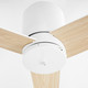 Banzai 52" Ceiling Fan (22523-8)