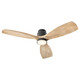 Lurus 64"Ceiling Fan (30643-59)
