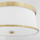 Weir Four Light Ceiling Mount (3203-20-80)