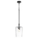 Goodwin One Light Pendant (3204-59)