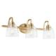 Reyes Three Light Vanity (5060-3-280)