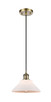 manufacturer_finish:Antique Brass|manufacturer_glass:Matte White|light_output:220.00lm|color_temperature:2200K|cri:99