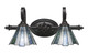 Toltec Lighting - 162-DG-9325 - Two Light Bath Bar - Eleganté - Dark Granite