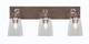 Toltec Lighting - 1773-GPDW-461 - Three Light Bathroom Lighting - Oxbridge - Graphite & Painted Distressed Wood-look