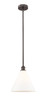 manufacturer_finish:Oil Rubbed Bronze|manufacturer_glass:Matte White|light_output:220.00lm|color_temperature:2200K|cri:99