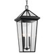 Regence Two Light Outdoor Pendant (59130BKT)