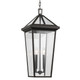 Regence Two Light Outdoor Pendant (59130OZ)