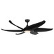 manufacturer_finish:Matte Black