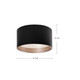 manufacturer_finish:Black|color_temperature:2700K