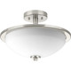 manufacturer_finish:Brushed Nickel|manufacturer_glass:Etched