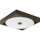 Frame LED Flush Mount/Wall Sconce (P350026-129-30)