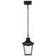 Jasper One Light Outdoor Hanging Lantern (60-5746)