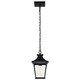 Jasper One Light Outdoor Hanging Lantern (60-5746)