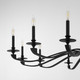 Chantelle 12 Light Chandelier (6240-12-59)