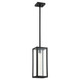 Quorum - 748-15-69 - One Light Pendant - Parks - Textured Black