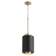 Cylinder Pendants One Light Pendant (8008-6980)