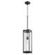 Quorum - 810-69 - One Light Pendant - Chisseled Pendants - Textured Black|Clear Chisseled Glass