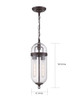Fathom Two Light Pendant (60-6922)
