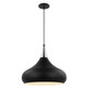 Phoenix One Light Pendant (60-7516)