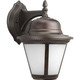 manufacturer_finish:Antique Bronze|manufacturer_glass:Etched Seeded|light_source:LED|light_output:594.00lm|color_temperature:3000K|cri:90
