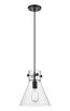manufacturer_finish:Matte Black|manufacturer_glass:Clear Newton Cone