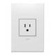 adorne 15A Single Tamper-Resistant Outlet (ARTR151W10)