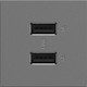 adorne Ultra-Fast USB Type-A/A Outlet Module (ARUSB2AA6M4)