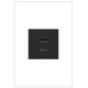 adorne Ultra-Fast USB Type-A/C Outlet Module (ARUSB2AC6G4)