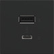 adorne Ultra-Fast USB Type-A/C Outlet Module (ARUSB2AC6G4)