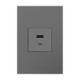 adorne Ultra-Fast USB Type-A/C Outlet Module (ARUSB2AC6M4)