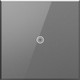 adorne Touch Switch with Microban (ASTH1532M2)