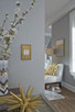 adorne Four-Gang Screwless Wall Plate (AWC4GCOF4)